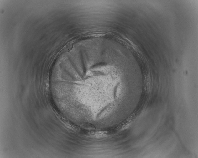 X0000079580553200612221433