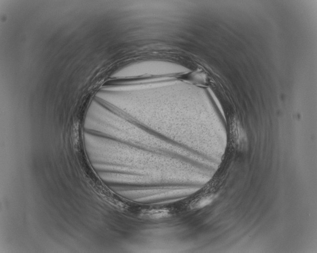 X0000079580554200612221433