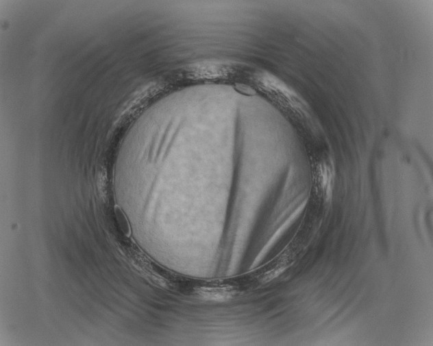 X0000079580556200612221433