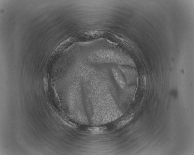 X0000079580558200612221433