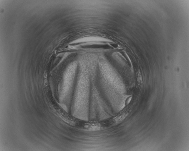 X0000079580559200612221433