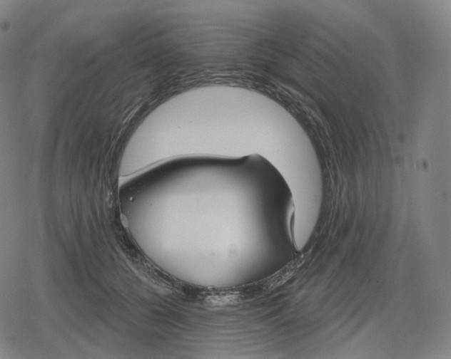 X0000079580560200612221433