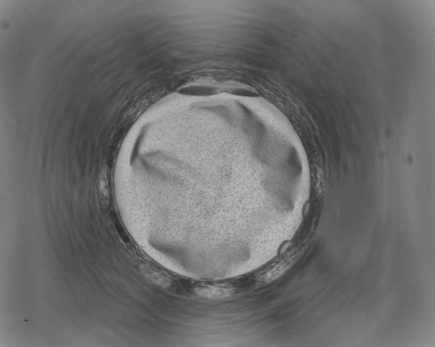 X0000079580561200612221433