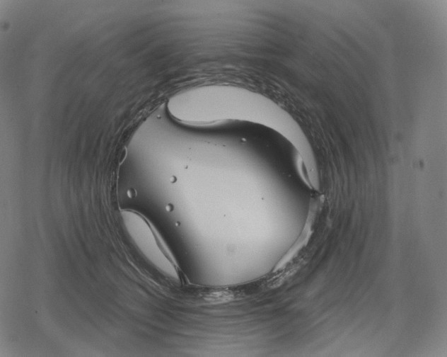 X0000079580562200612221433