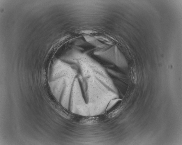 X0000079580563200612221433