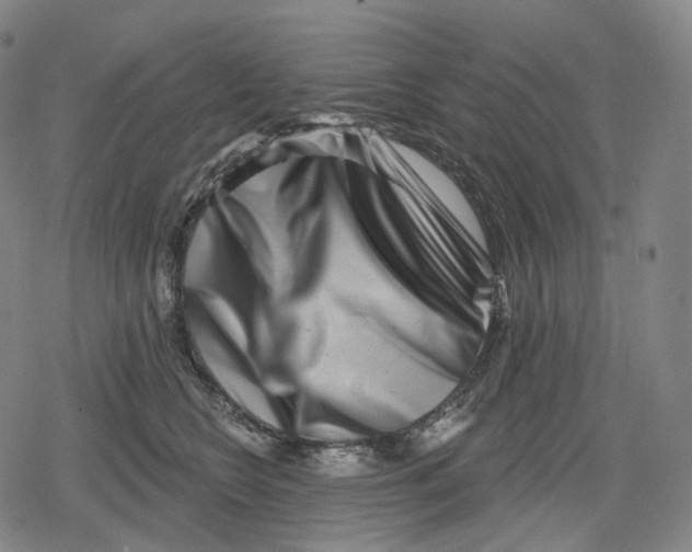 X0000079580566200612221433