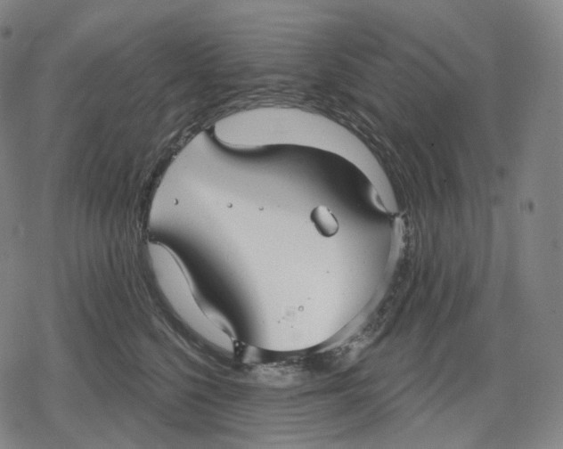 X0000079580568200612221433