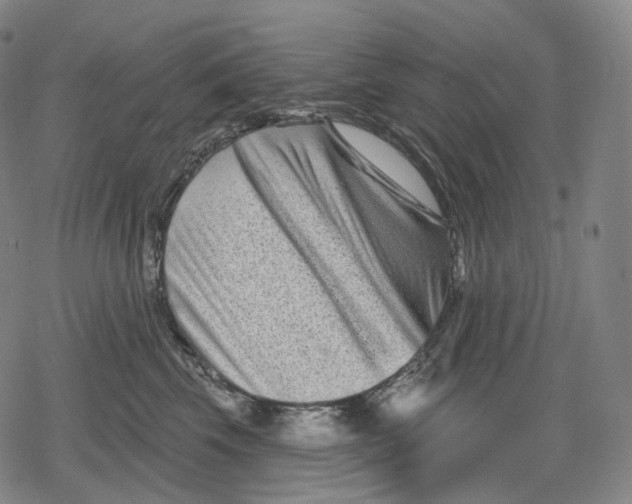 X0000079580569200612221433