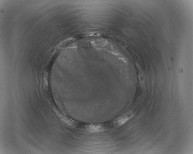 X0000079580570200612221433