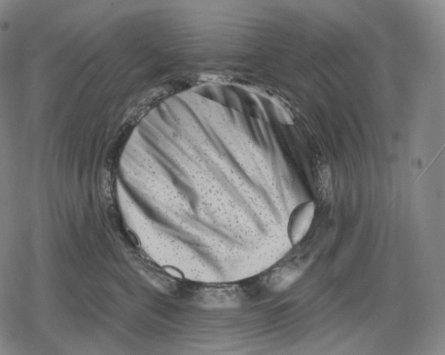 X0000079580571200612221433