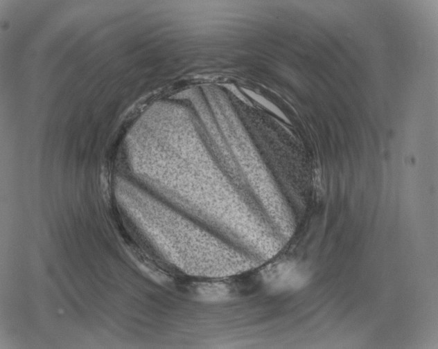 X0000079580572200612221433