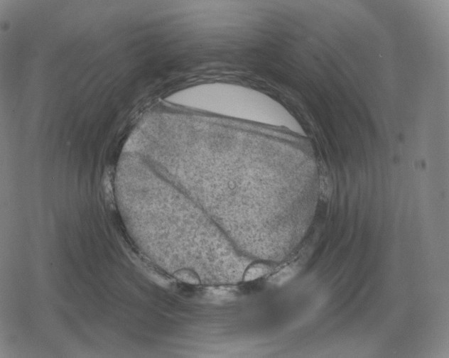 X0000079580573200612221433