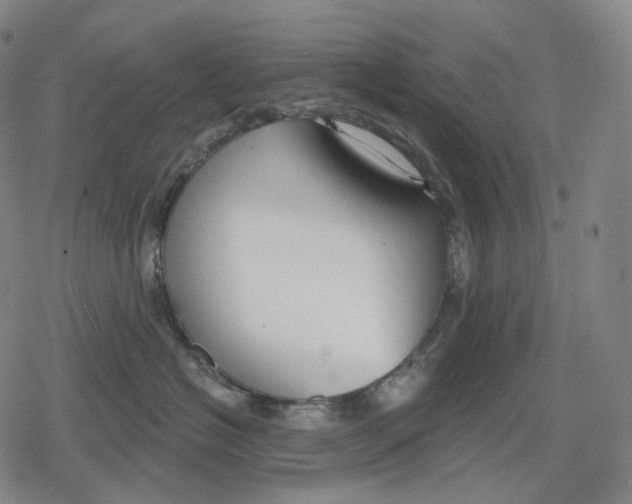 X0000079580574200612221433