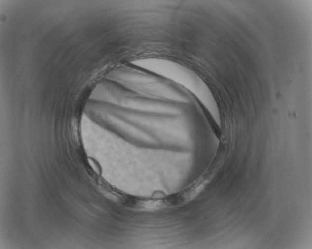 X0000079580575200612221433