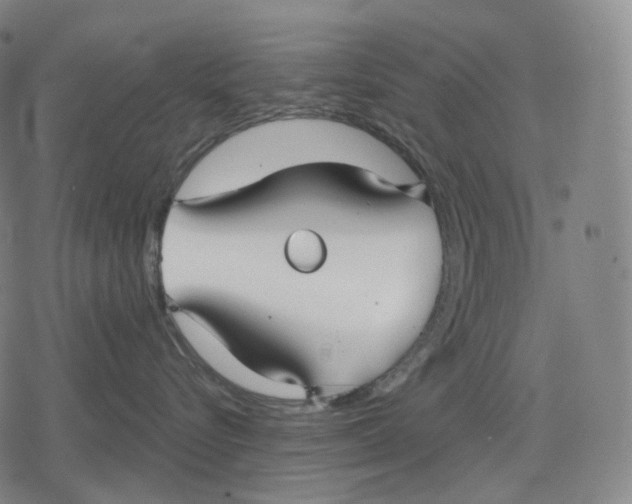 X0000079580576200612221434