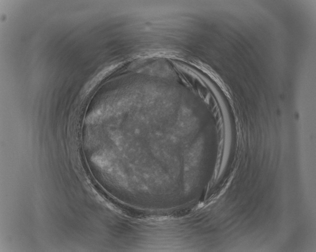 X0000079580577200612221433