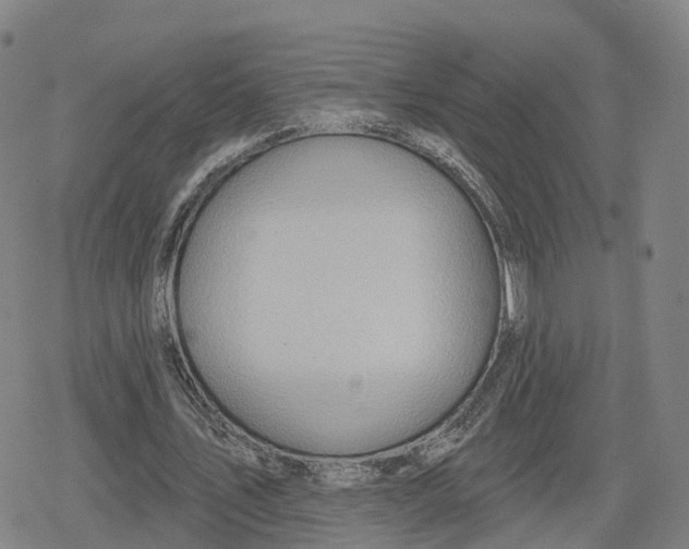 X0000079580579200612221433