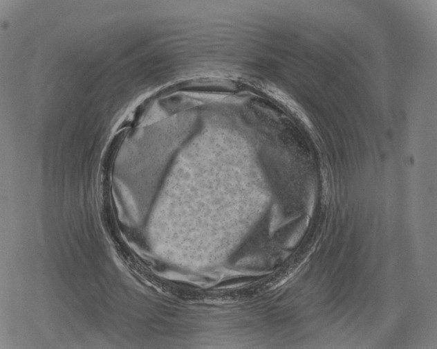 X0000079580580200612221433