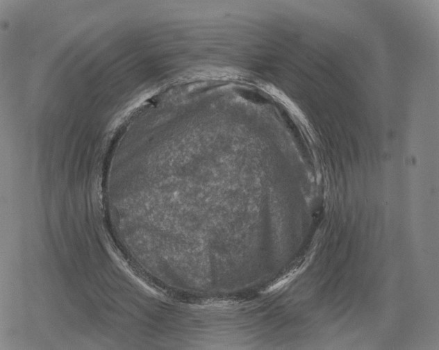 X0000079580581200612221433