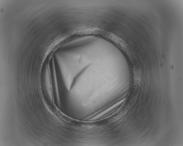 X0000079580582200612221433