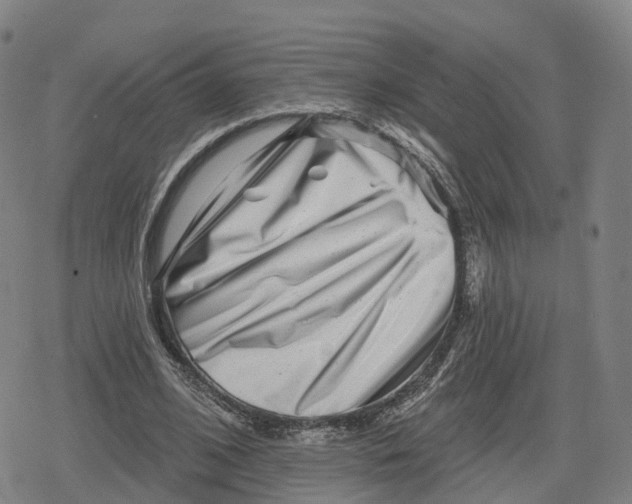 X0000079580584200612221433