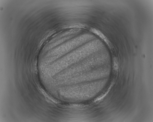 X0000079580585200612221433