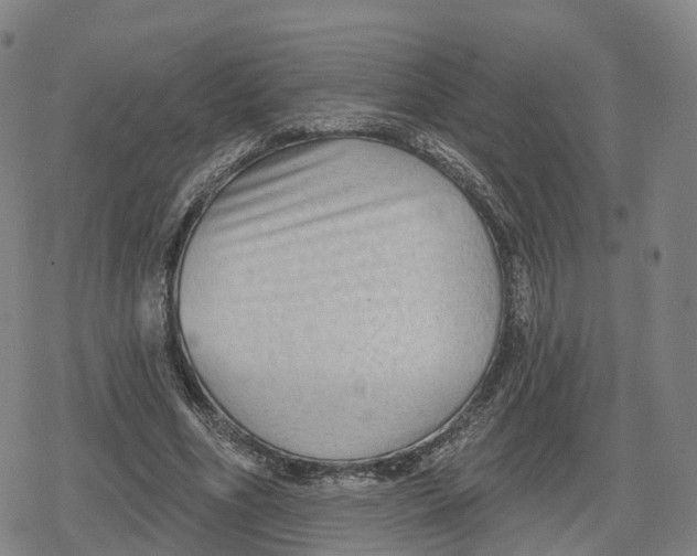 X0000079580586200612221433