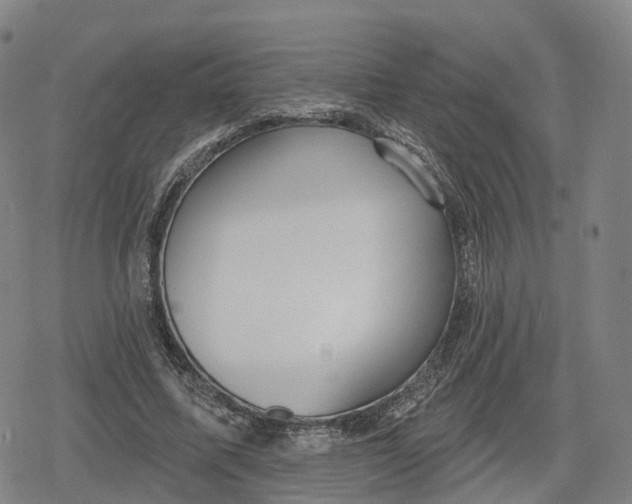 X0000079580587200612221433