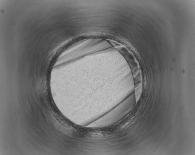 X0000079580588200612221433