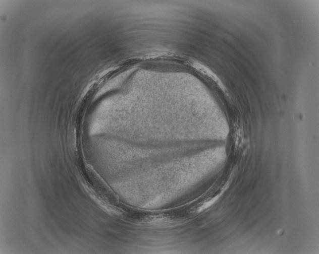 X0000079580589200612221433