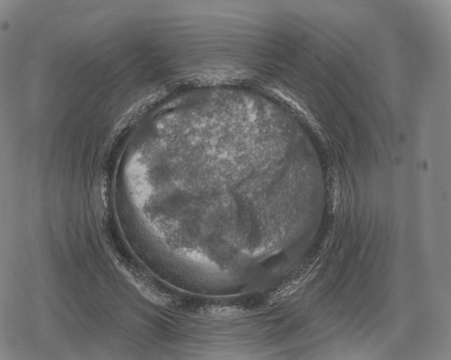 X0000079580590200612221433