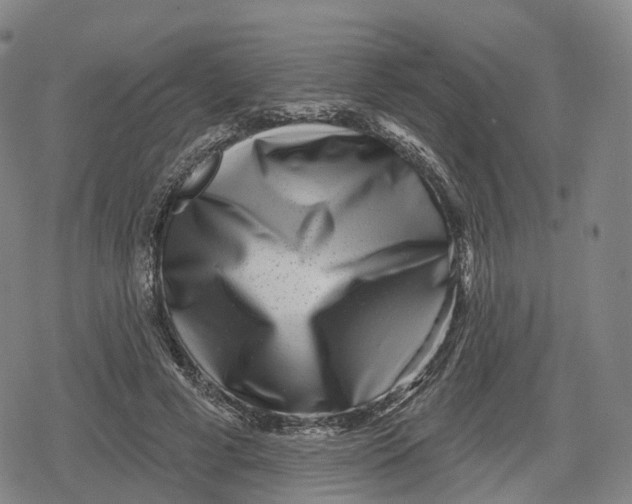 X0000079580593200612221432