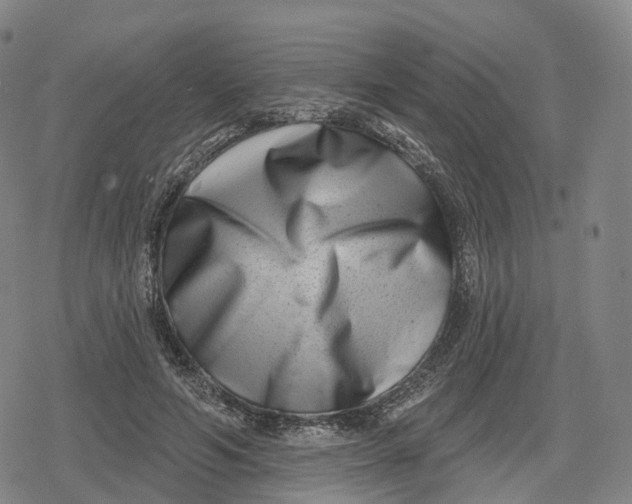 X0000079580594200612221432