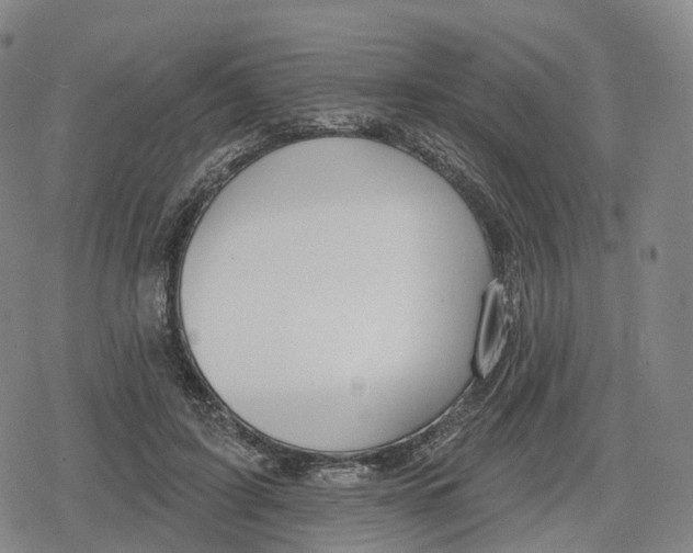 X0000079580595200612221432