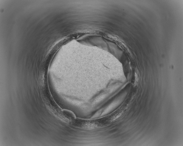 X0000079580596200612221432