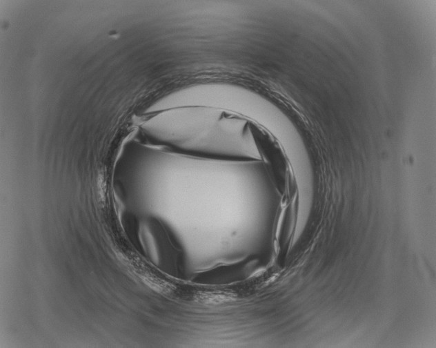 X0000079580597200612221432