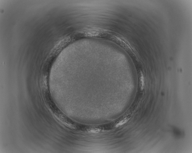 X0000079580598200612221432