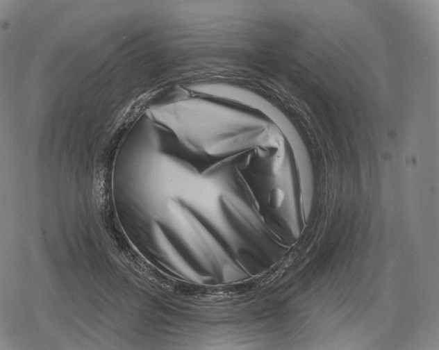 X0000079580600200612221432