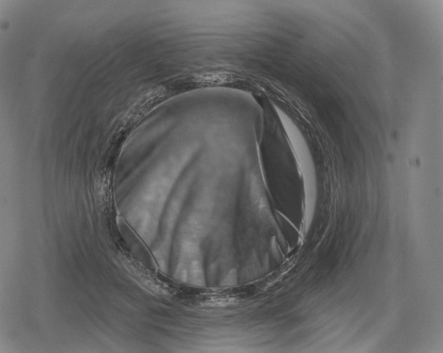 X0000079580601200612221432