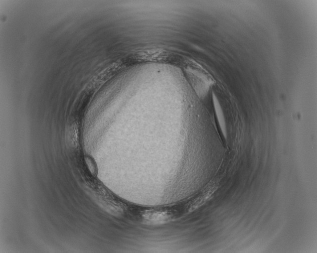 X0000079580602200612221432