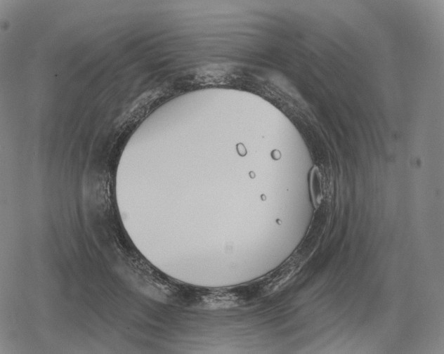 X0000079580603200612221432