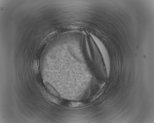 X0000079580605200612221432