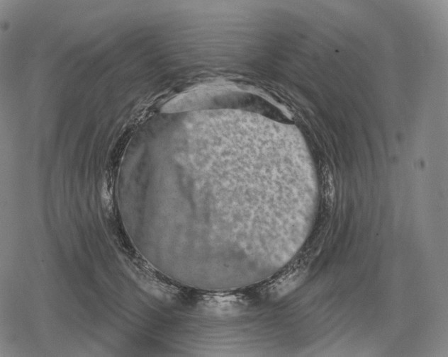 X0000079580607200612221432