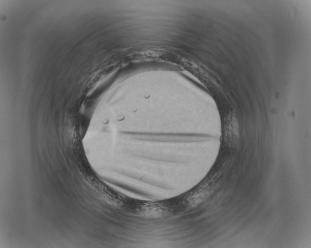 X0000079580608200612221432