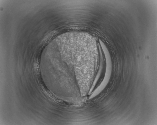 X0000079580609200612221432