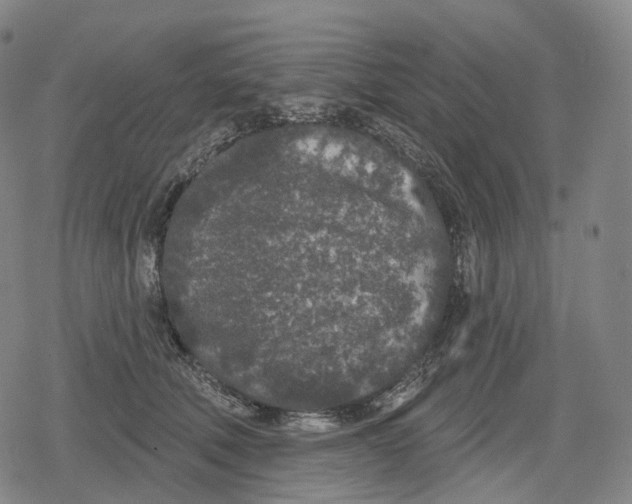 X0000079580610200612221432