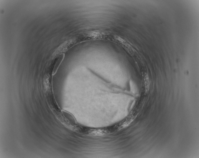 X0000079580611200612221432