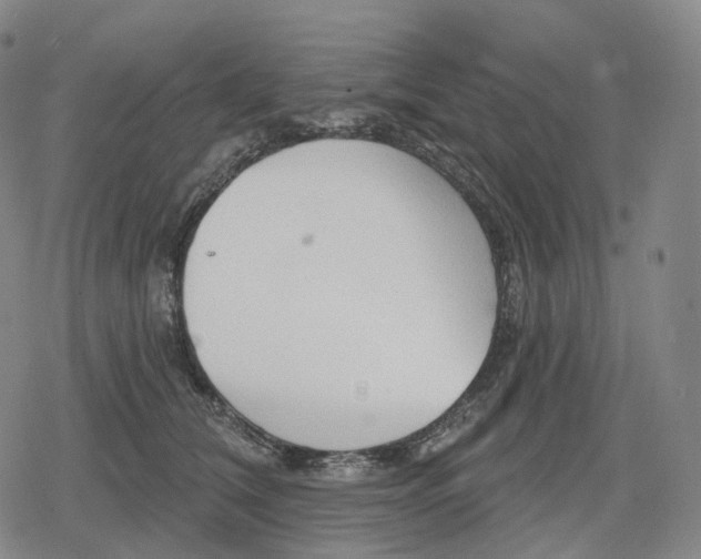 X0000079580612200612221432