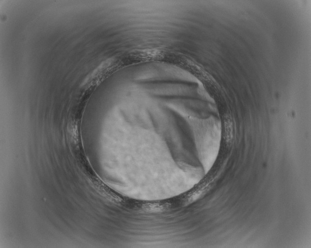 X0000079580613200612221432