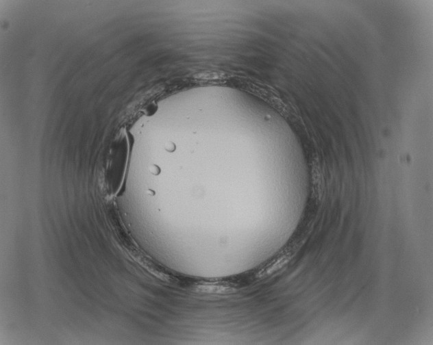 X0000079580614200612221432